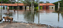 Ninguém solta a mão de ninguém: FIEMA articula ações em cidades em situação de emergência