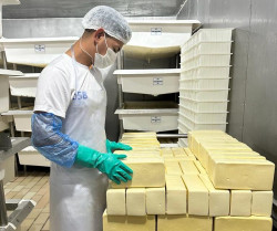 Indústrias de laticínios terão créditos presumidos de 100% do ICMS