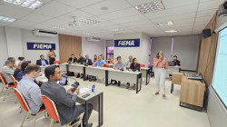 FIEMA promove encontro com IBAMA para fortalecer combate aos incêndios florestais no Maranhão