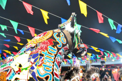 São João do SESI-MA valoriza cultura e indústria local em São Luís