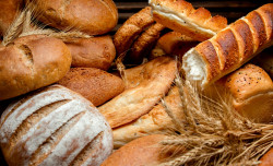 Inova Indústria lança masterclasses para os setores de vestuário e panificação em São Luís