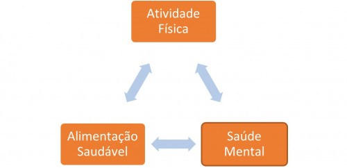 Programas de Saúde Integrados